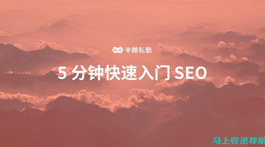 揭秘 SEO 推广公司成功的运营秘诀：掌握行业的 20 个制胜秘方