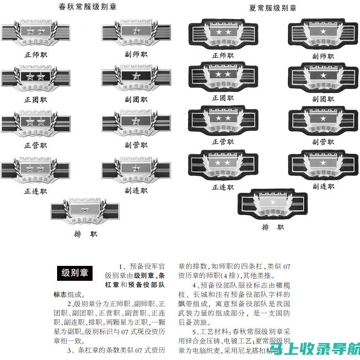 特务站长等级之谜：权力与责任的双重枷锁