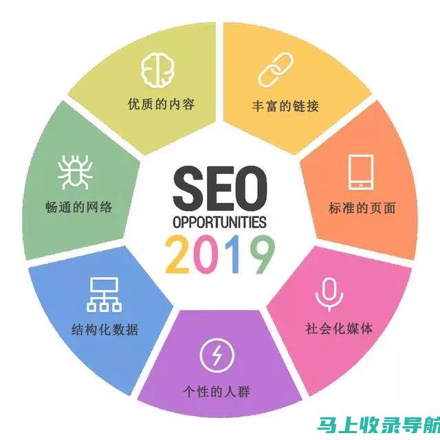 SEO基础视频教程大全！手把手教你网站优化