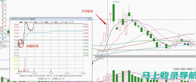 优化内容以吸引目标受众并提升搜索排名