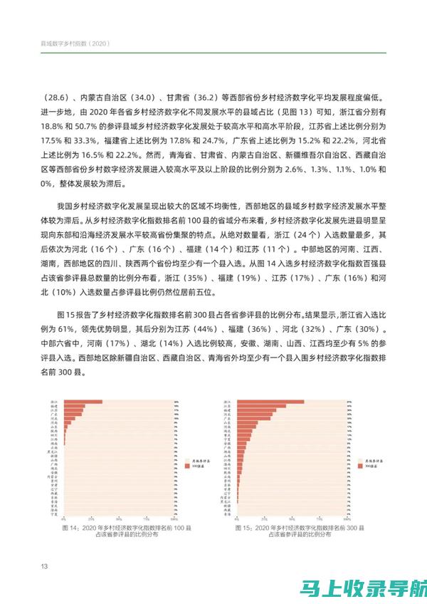 解析乡镇统计站站长职级架构：副科级之实与虚的全面解读