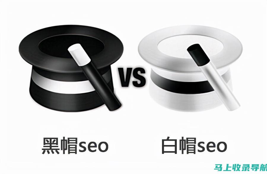 黑帽 SEO 工具包：了解行业领先的软件和技术