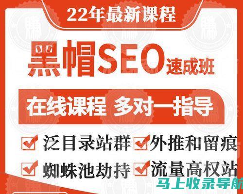 SEO站群：一个强大的网站网络，实现流量和排名最大化