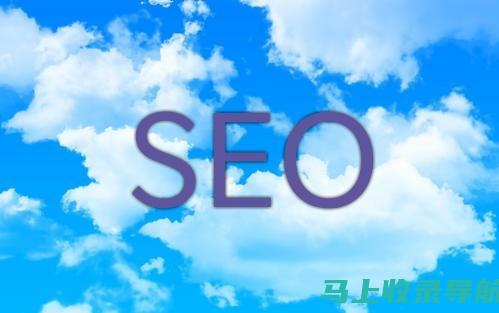 SEO 外链工具软件：优化网站排名的秘密武器