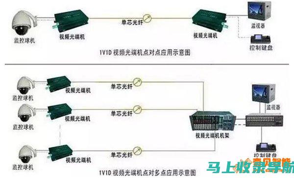 监控反向链接的增长和损失