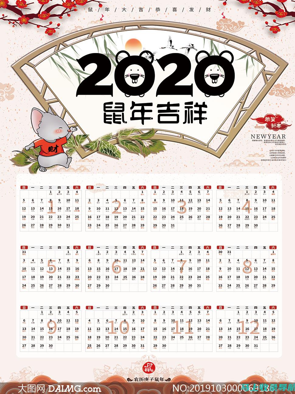 2020 年个人站长成功指南：如何建立一个盈利的在线业务