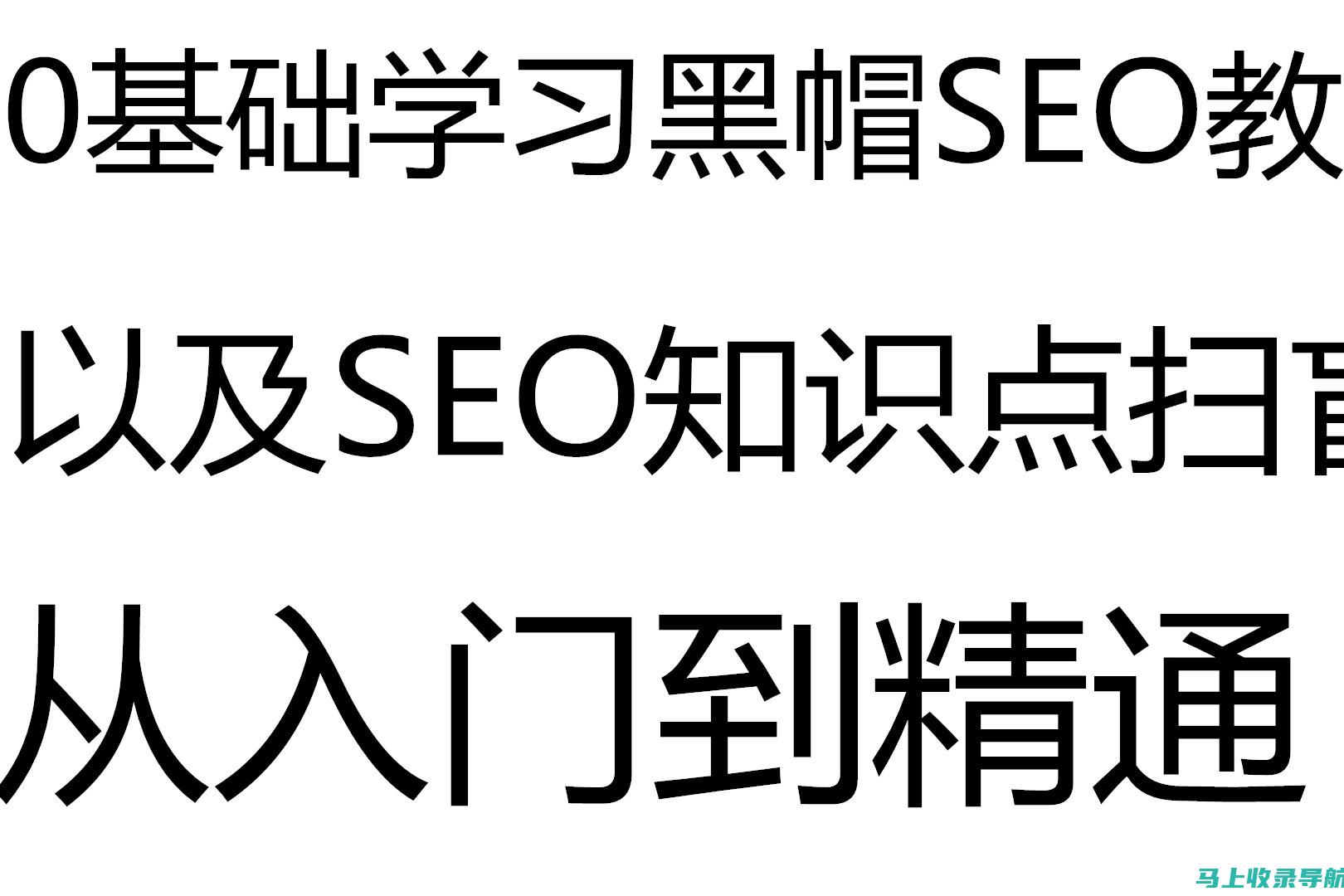 黑帽 SEO 入门指南：一步一步，从零开始优化你的网站