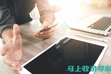 面向高级站长的技巧：优化网站，最大化收入，打造品牌