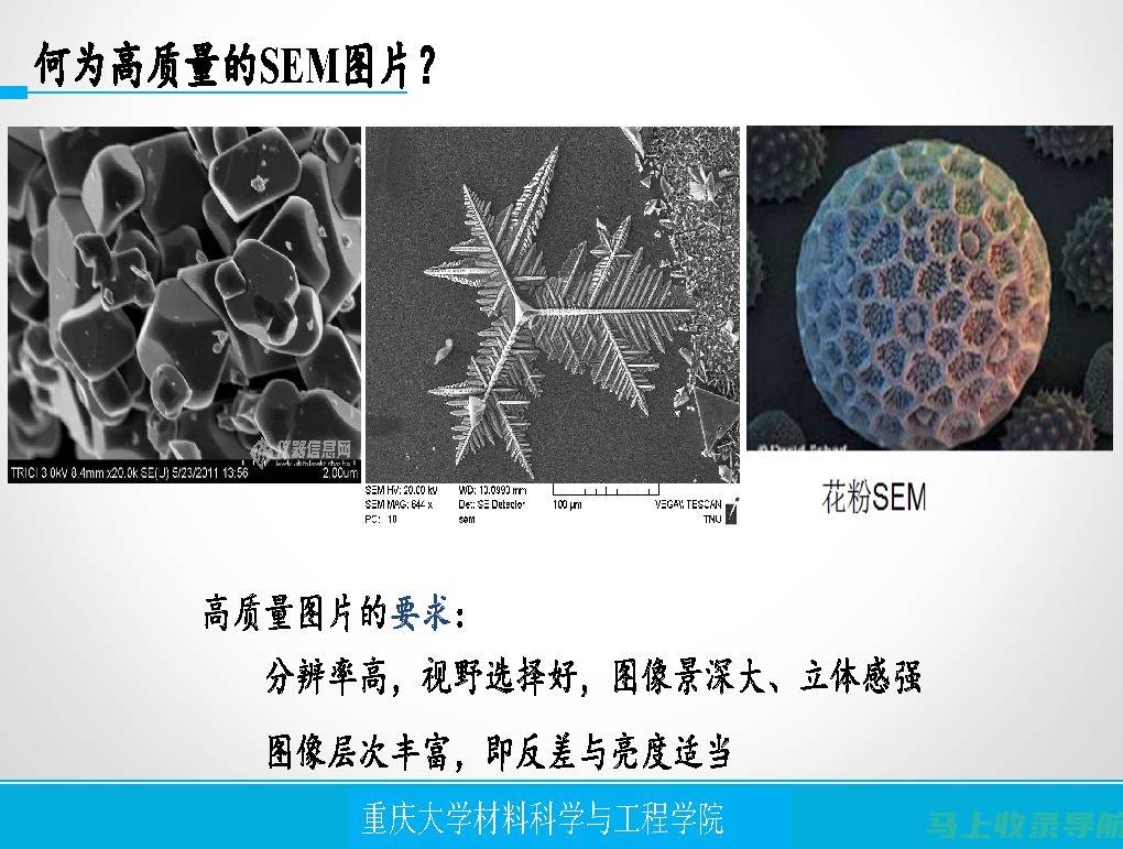 SEM 与 SEO 的行业特定策略：针对不同垂直领域的定制方法