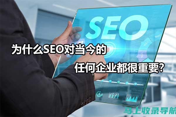 掌握 SEO 艺术：20 本为您提供见解的书籍