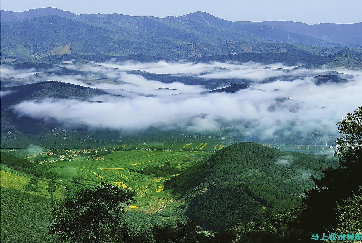 森林生态旅游规划师：林业站站长打造绿色旅游胜地