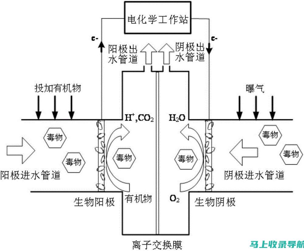 在燃料王国中导航：加油站站长的指南