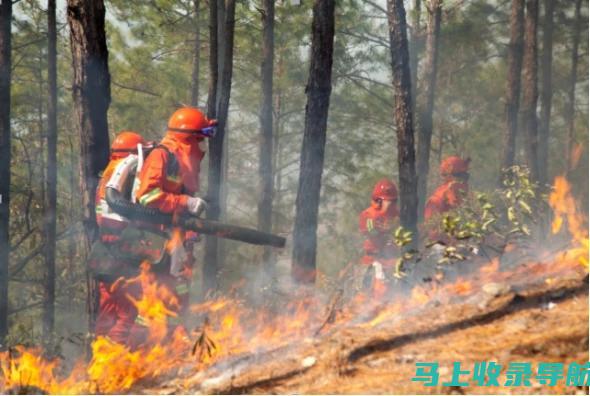 林业火灾应急处置：乡镇林业工作站站长实战指南