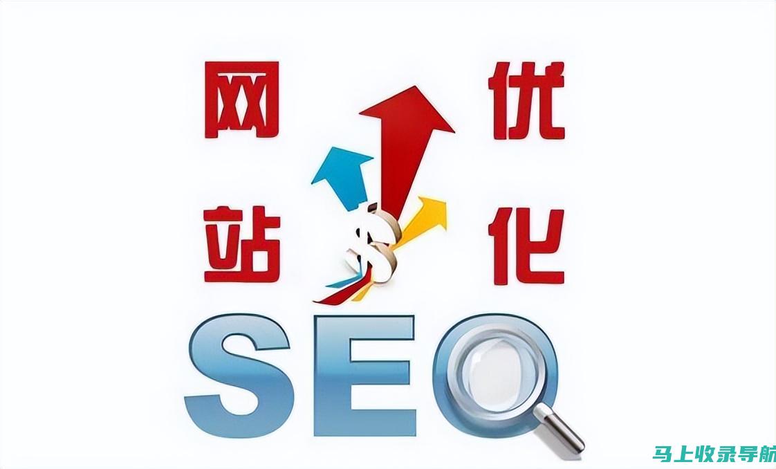 SEO 入门教程：面向初学者的分步指南