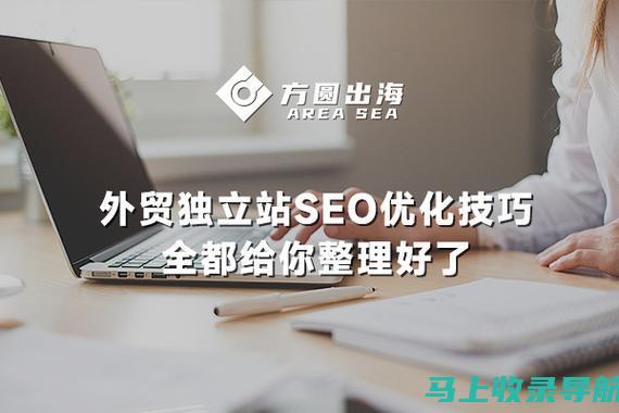 外贸 SEO 平台比较：找出最适合您业务的平台