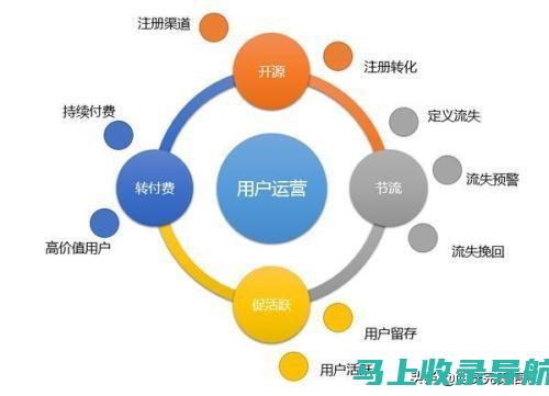 SEO外链构建：提高网站排名的关键因素