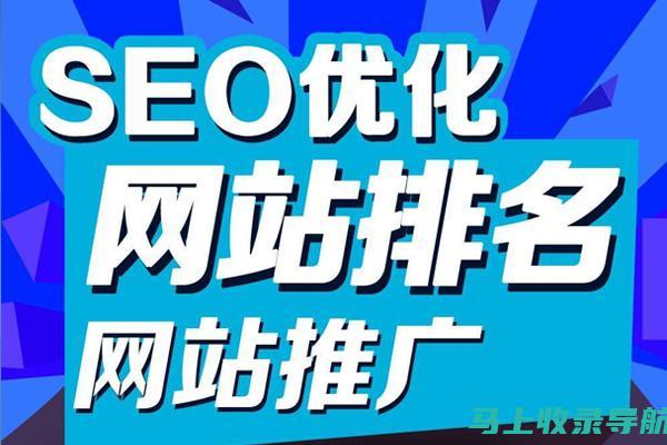 SEO小白网站分析指南：监控和优化网站性能