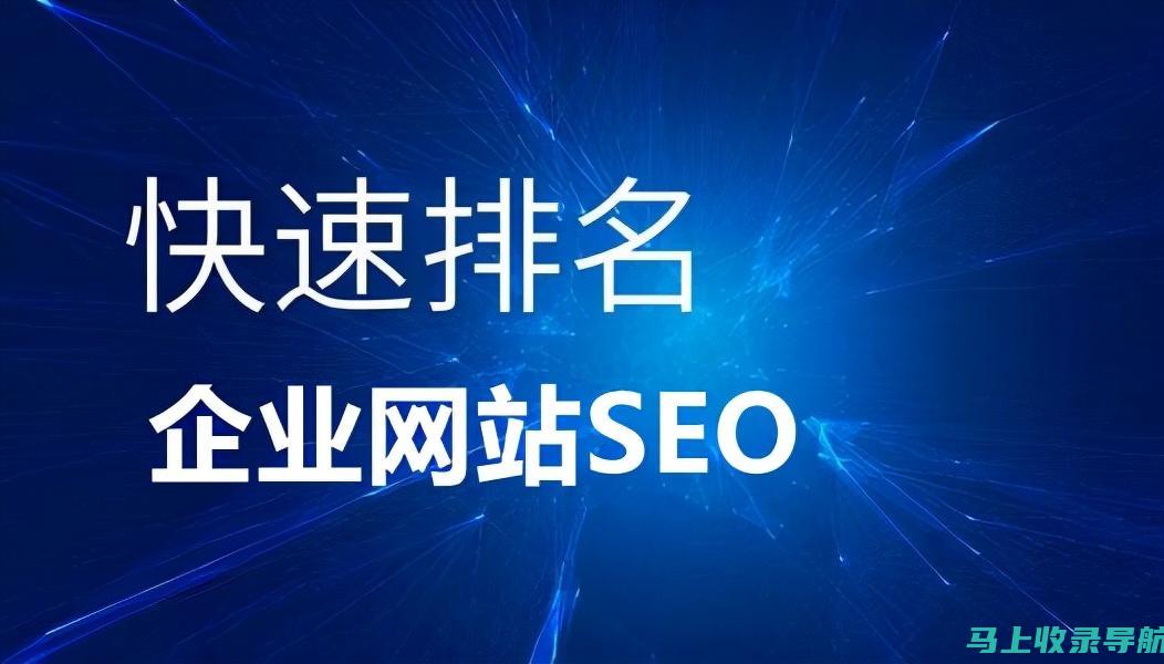 SEO 推广实训心得体会：从新手到实战的蜕变之路