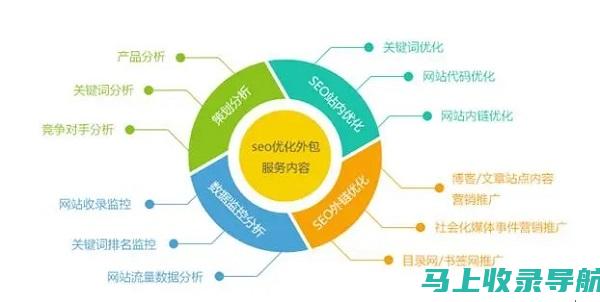 SEO数据分析：深度解析网站表现，指导优化策略