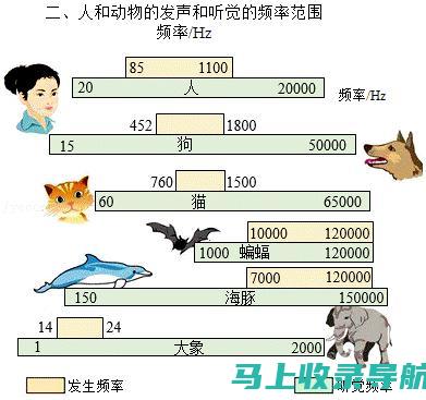 频率上的声音盛宴：广播站年度工作报告