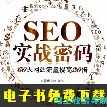 SEO 实战指南 PDF：一步步打造高流量网站