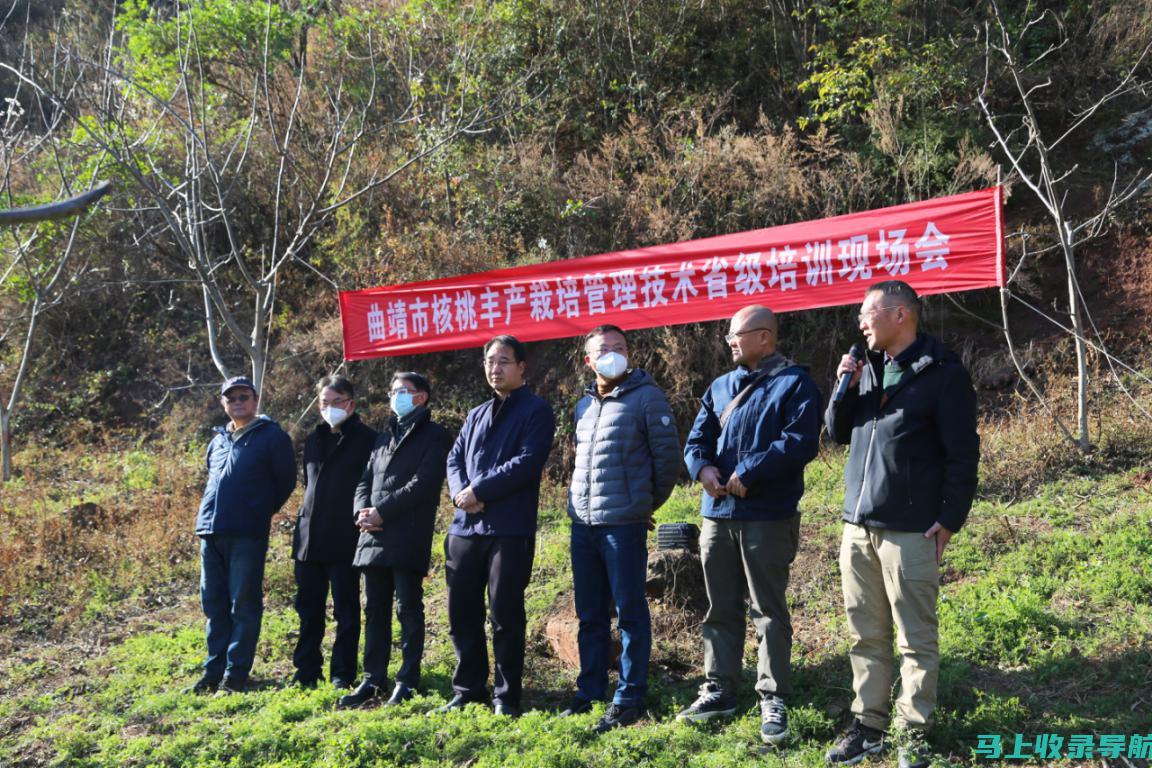 乡镇林业站长任职条件解读：了解其学历、资历和能力要求