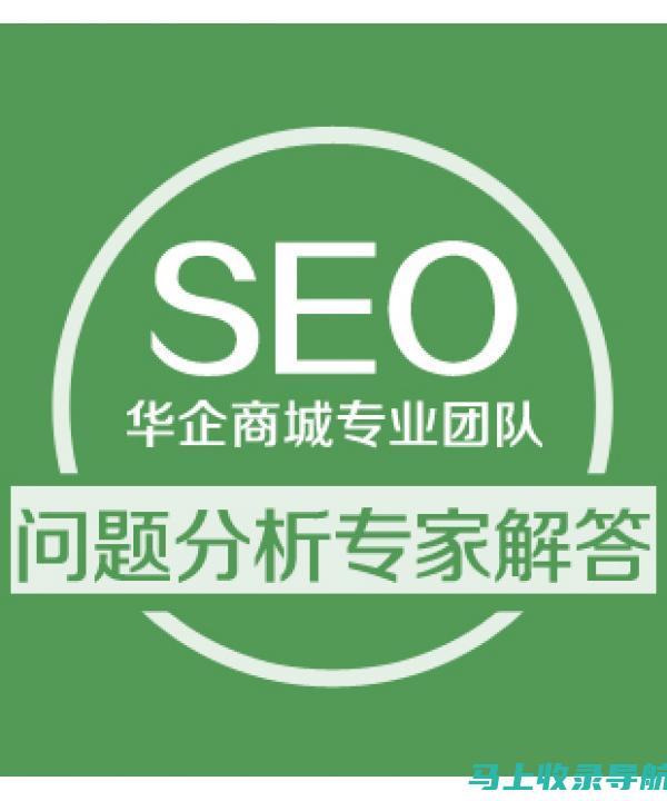 SEO 导师：揭示与经验丰富的专业人士合作的好处