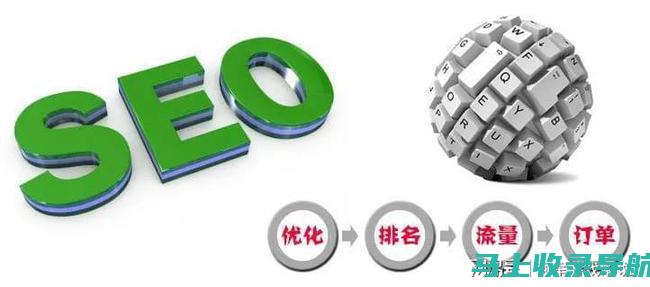 SEO 导师的力量：揭示对您职业生涯至关重要的合作