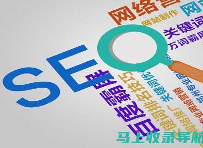 释放 SEO 的力量：20 个免费工具，提升您的网站可见性