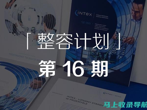 站长工作指南：深入解读职责与责任