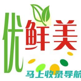 量化您的站长成就：用数据证明您的价值