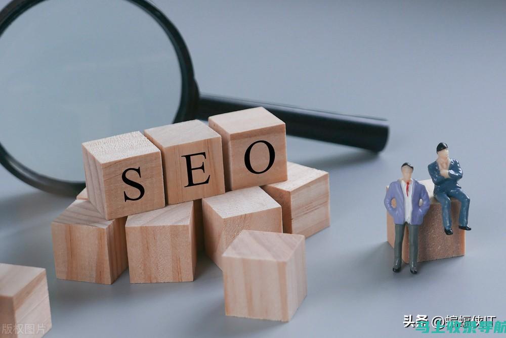 网站 SEO 排名优化全攻略：新手到高手进阶指南