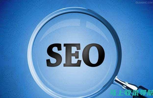 网站排名提升：SEO 教程中的专业技巧