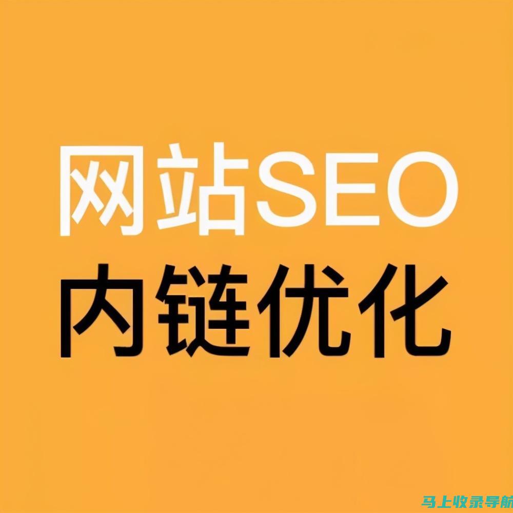 SEO 优化秘诀：优化短视频网页入口网站以获得更多流量