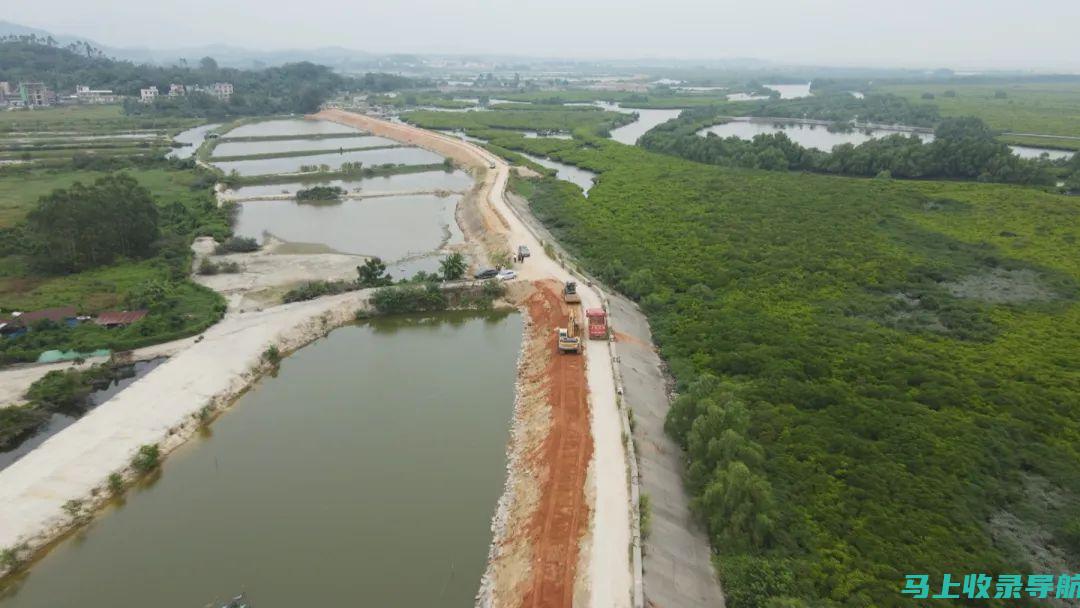 统计锚固乡村，助力乡村建设：乡镇统计站站长的数据化支撑作用