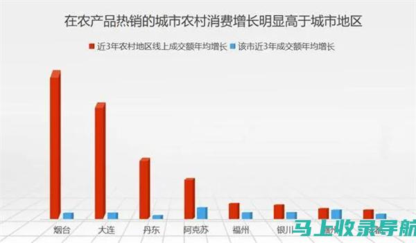 乡村统计指南针，指引振兴方向：统计站站长在乡村发展中的领航作用