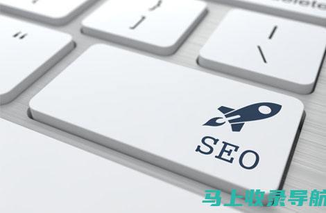 踏上搜索引擎优化之路：初学者必备的 SEO 入门蓝图