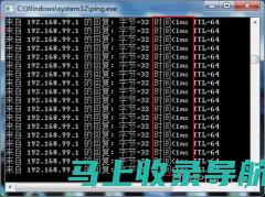 使用ping测试工具进行网站故障排除：一步步指南