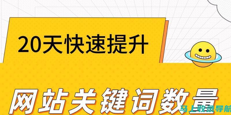 利用SEO数据分析洞察力，提升你的网站排名