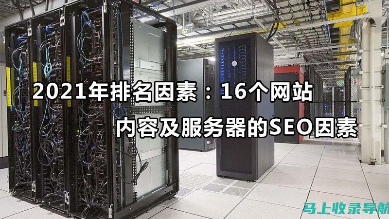 SEO数据分析教程：从初学者到专业人士的全面指南