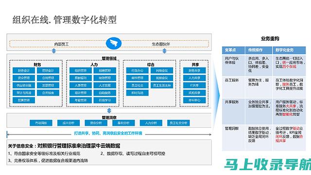 建立信息化决策：利用数据驱动洞察力，制定明智的网站策略