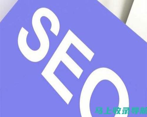 SEO 自学指南：从基础到高级