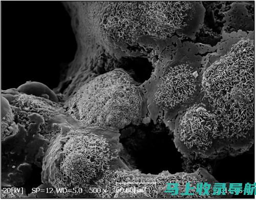 使用 SEM 操作视频提升在线营销策略的革命性方式