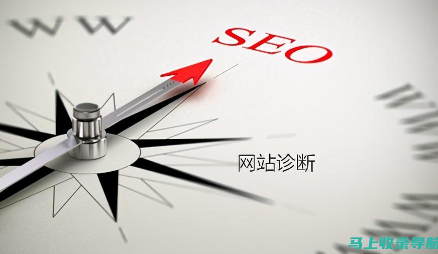 SEO 诊断和调试：解决 SEO 问题并优化网站的书籍