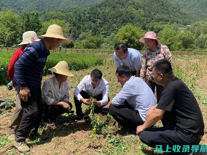 乡镇农经站站长职责：确保农业农村经济稳步增长