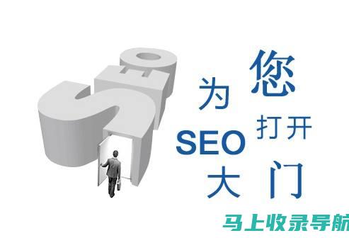 SEO专员：数字营销领域的先锋，把握行业发展脉搏