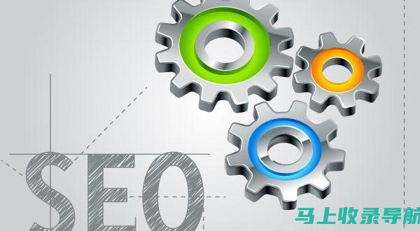 成为 SEO 大师：发现提供导师指导和行业认证的顶尖培训机构