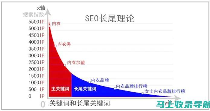 终极 SEO 网站推广指南：用数据驱动策略吸引目标受众