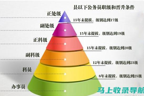 站长职级大揭秘：权力、责任与影响力的分配