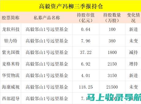 站长统计的伦理挑战：在分析和隐私之间取得平衡